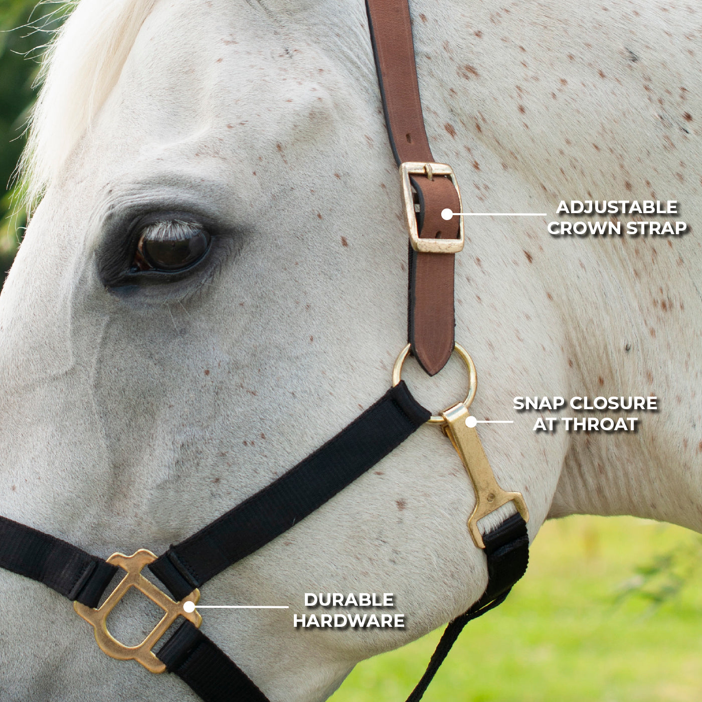 Supra Nylon Halter W/ Leather Crown