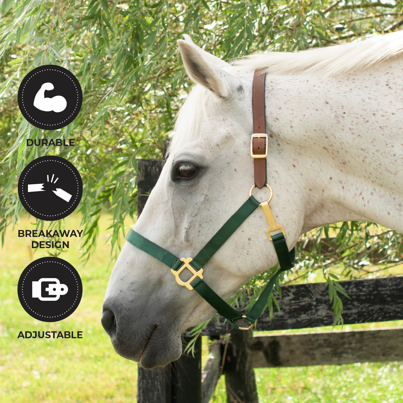 Supra Nylon Halter W/ Leather Crown