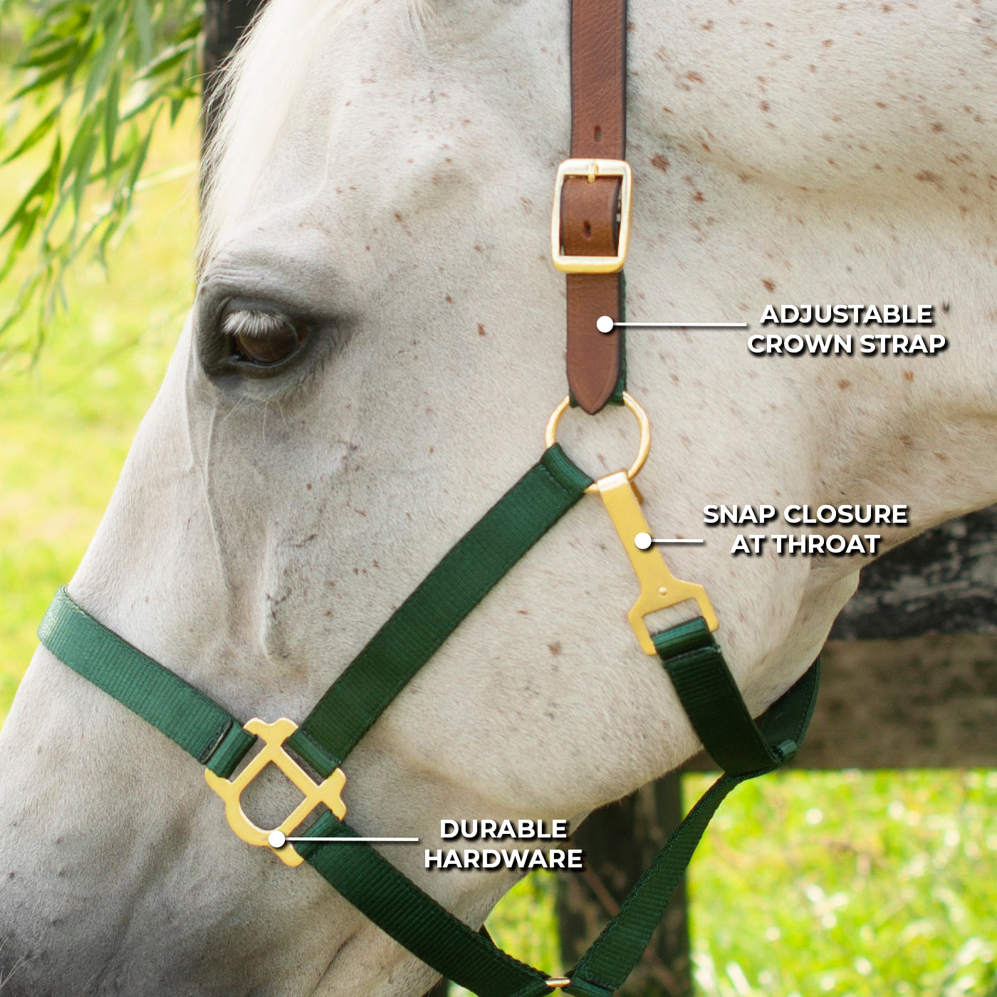 Supra Nylon Halter W/ Leather Crown