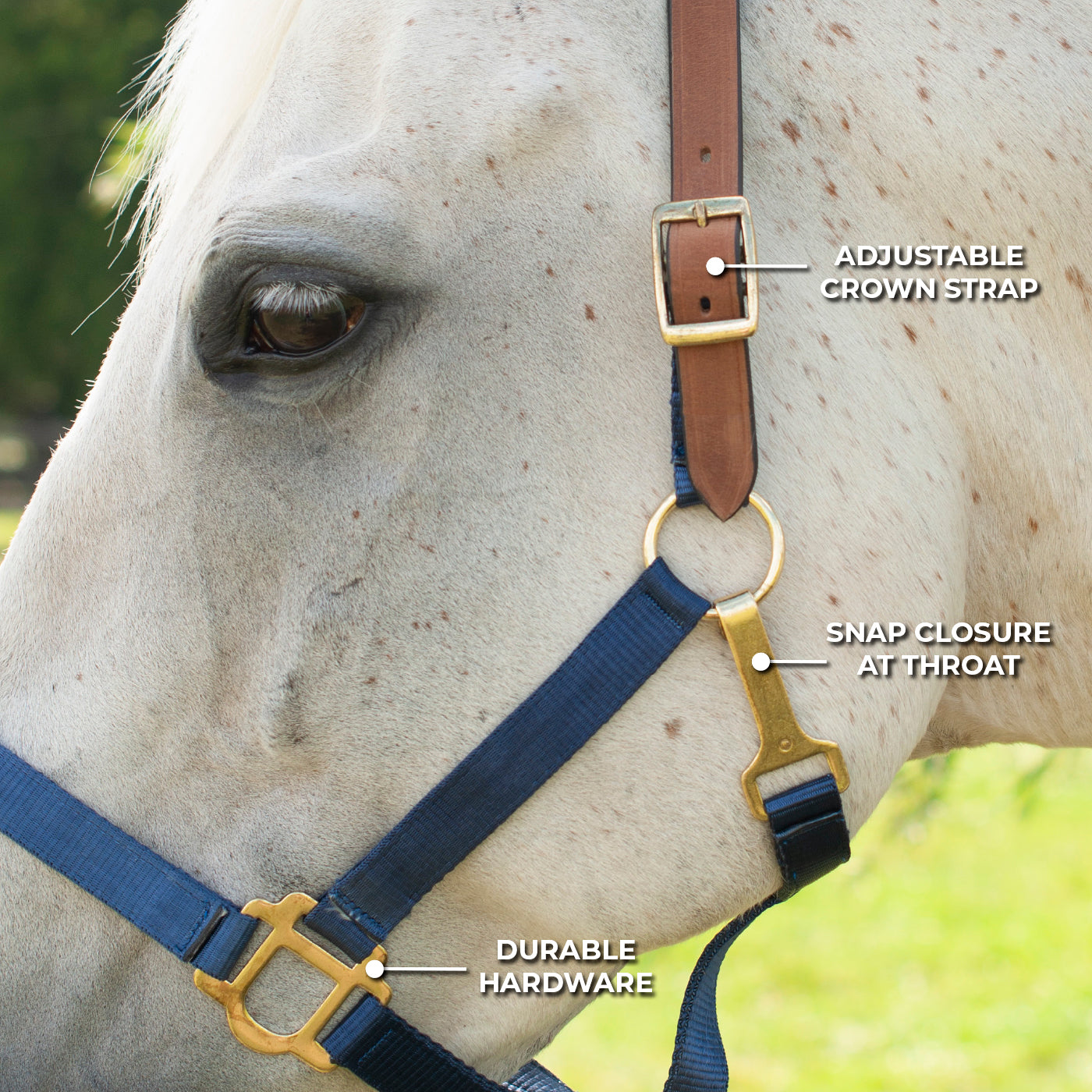 Supra Nylon Halter W/ Leather Crown