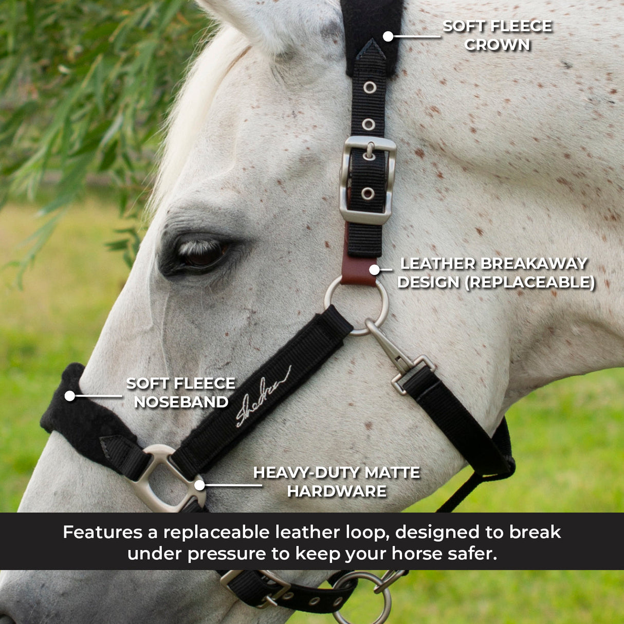 Shedrow Breakaway Halter W/ Fleece
