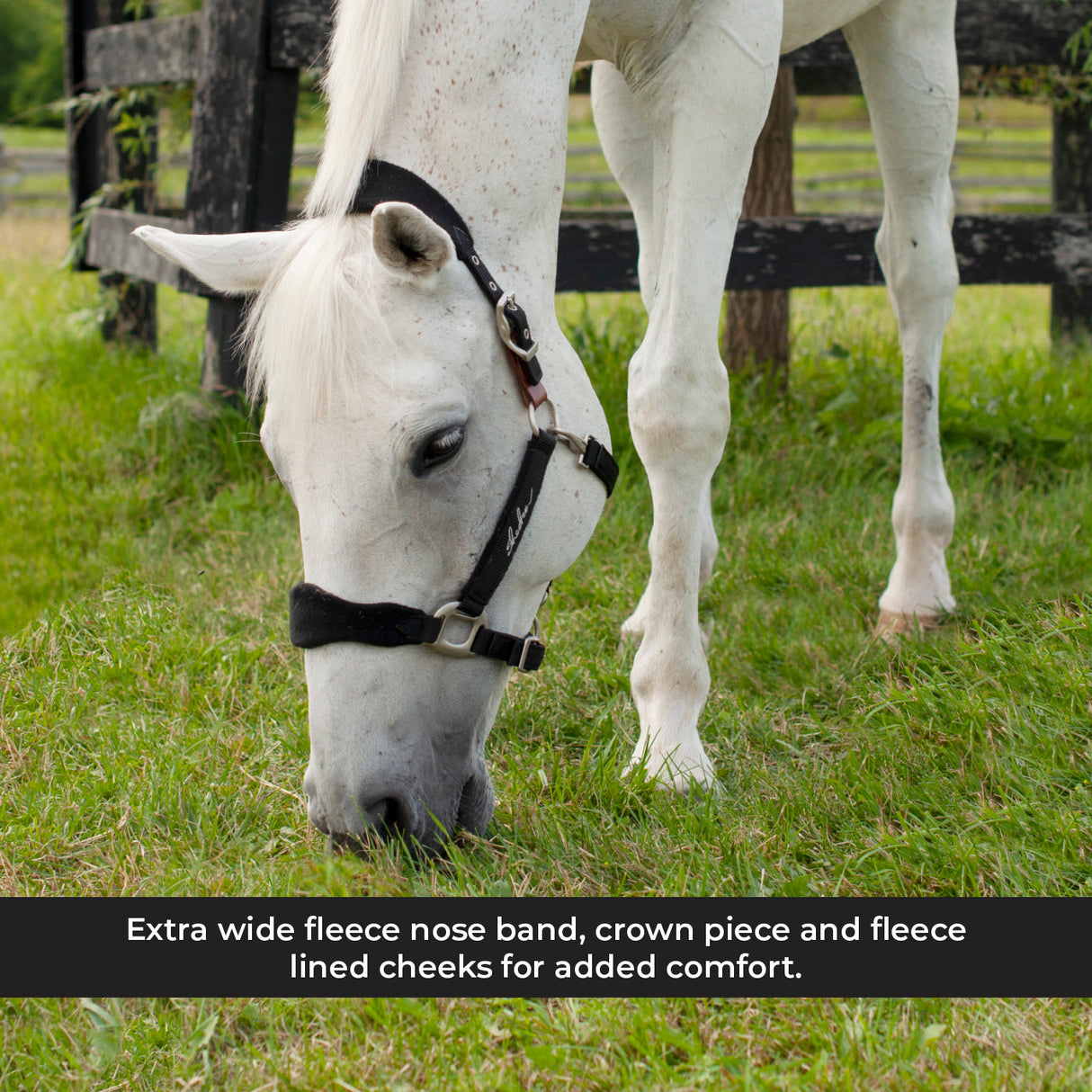 Shedrow Breakaway Halter W/ Fleece