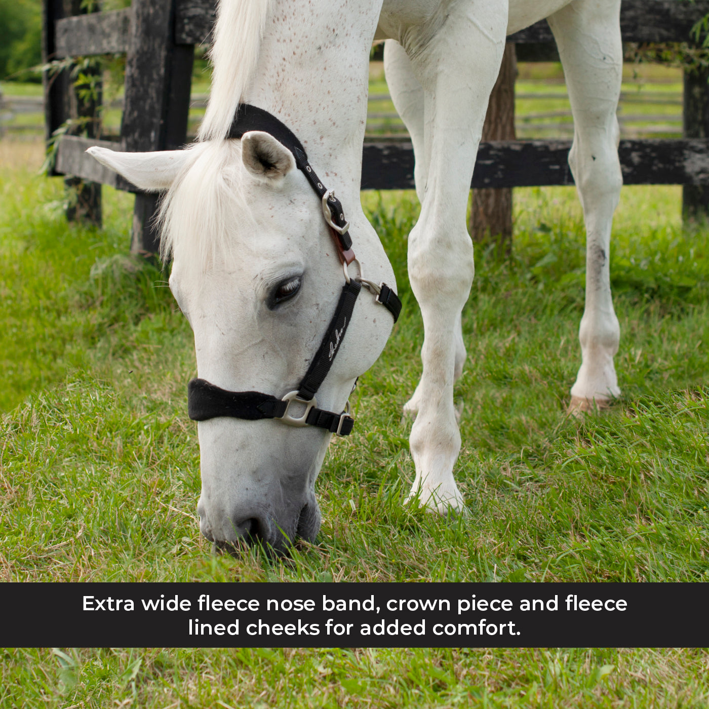 Shedrow Breakaway Halter W/ Fleece