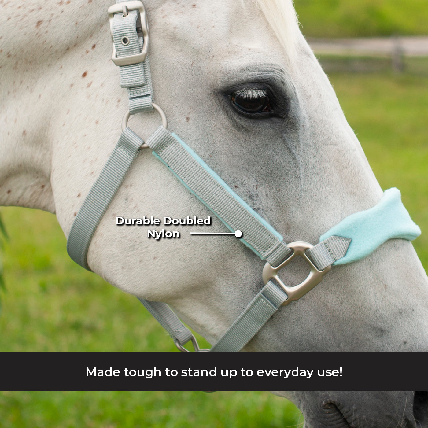 Shedrow Breakaway Halter W/ Fleece