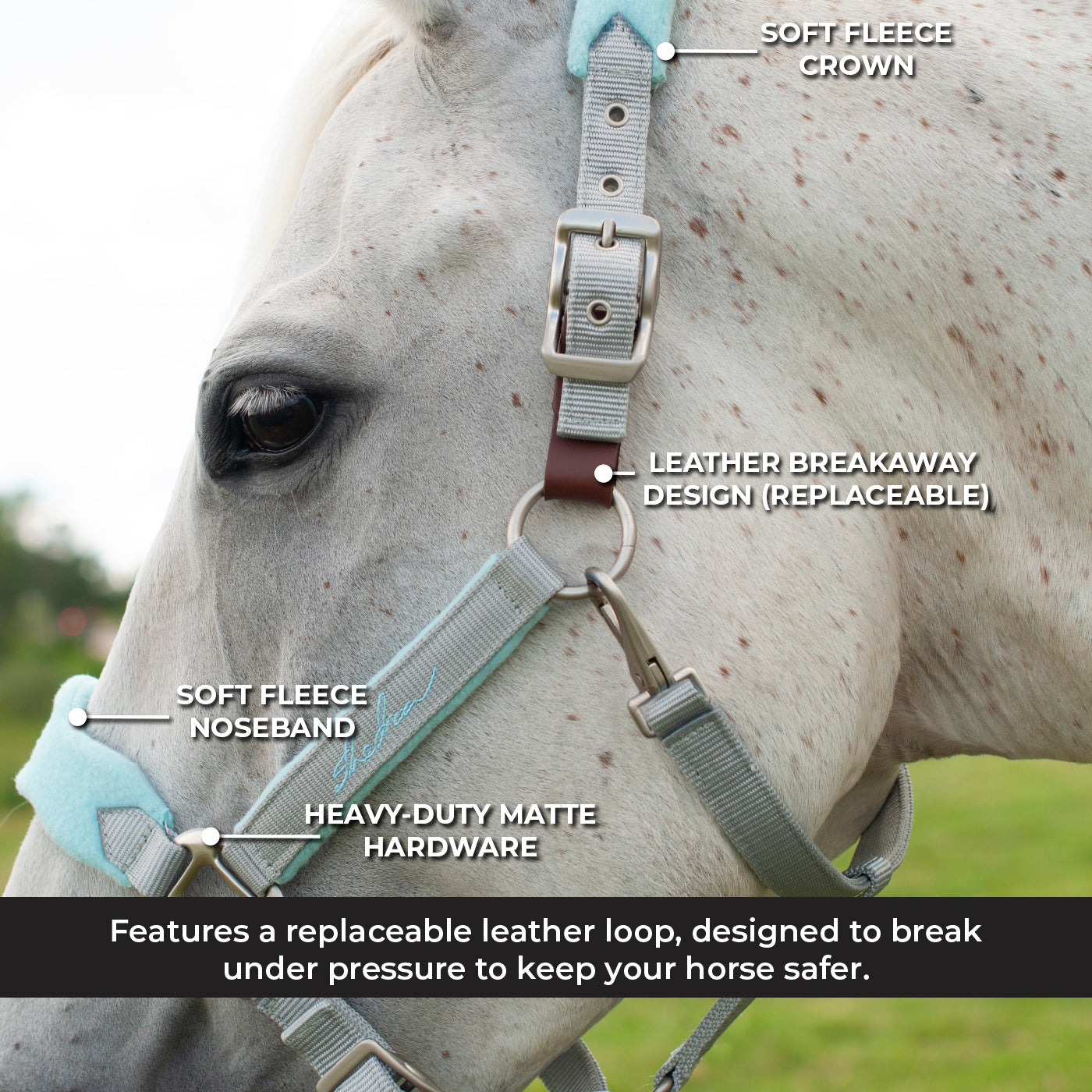 Shedrow Breakaway Halter W/ Fleece