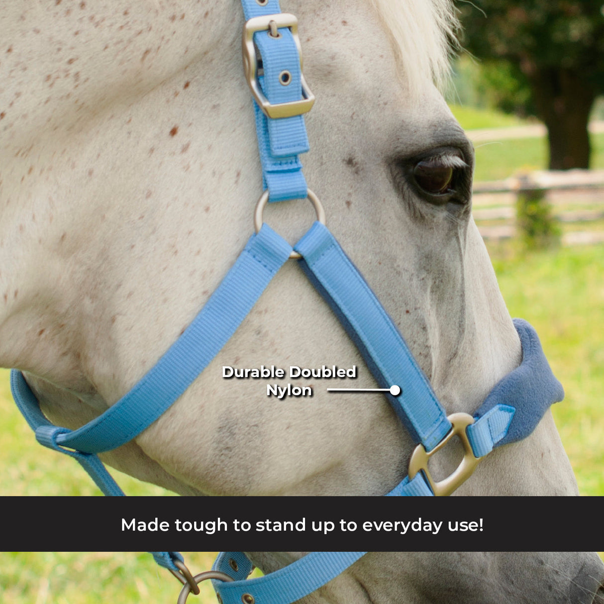 Shedrow Breakaway Halter W/ Fleece