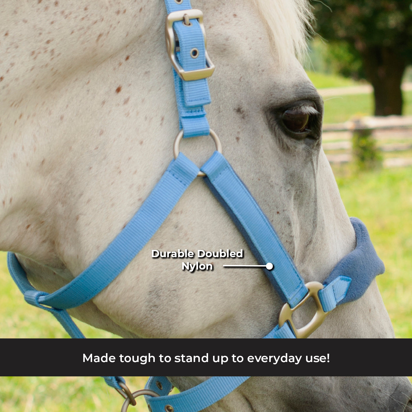 Shedrow Breakaway Halter W/ Fleece