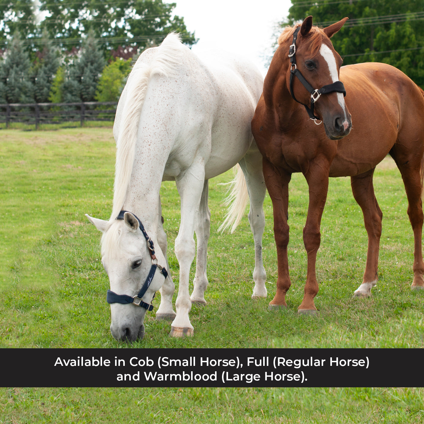 Shedrow Breakaway Halter W/ Fleece