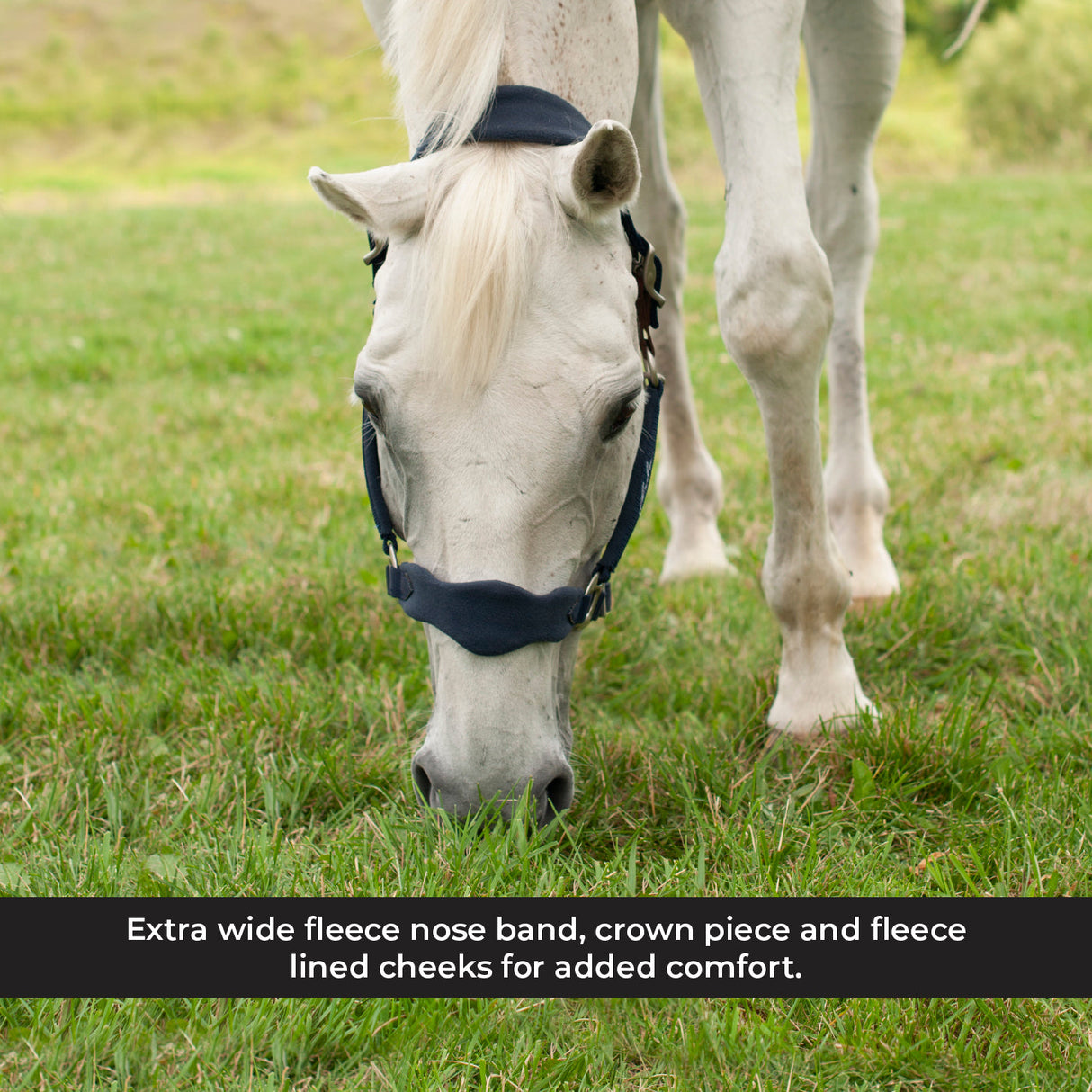 Shedrow Breakaway Halter W/ Fleece