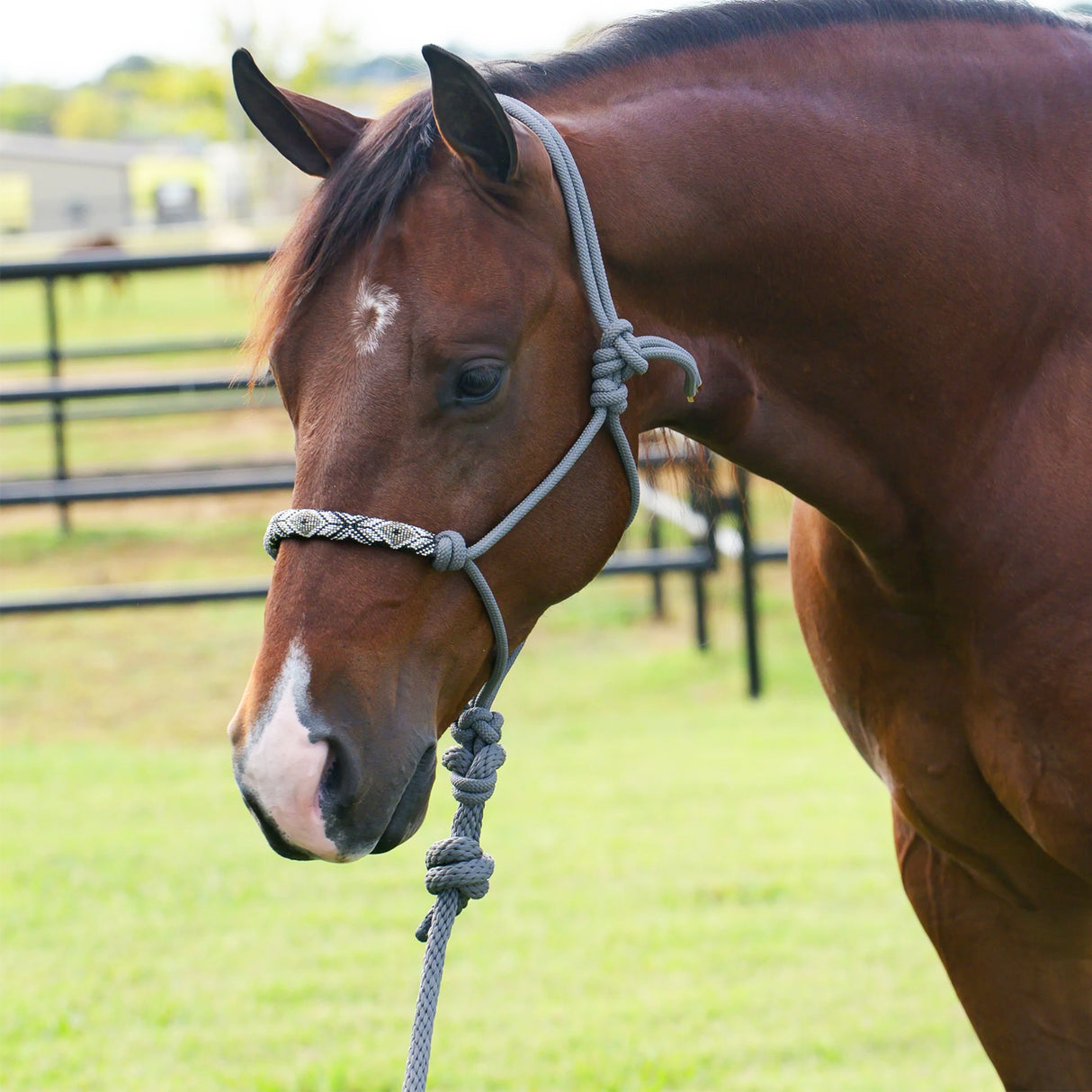 Professional's Choice Beaded Rope Halter