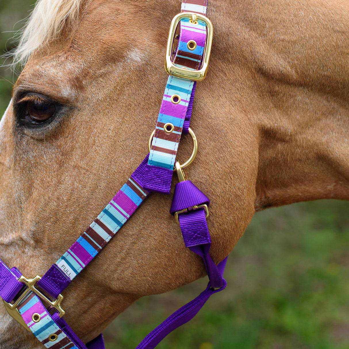 Shedrow Ribbon Halter