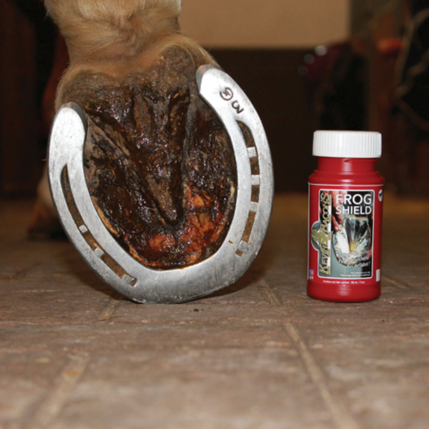 Kevin Bacon's Frog Shield 6 oz.