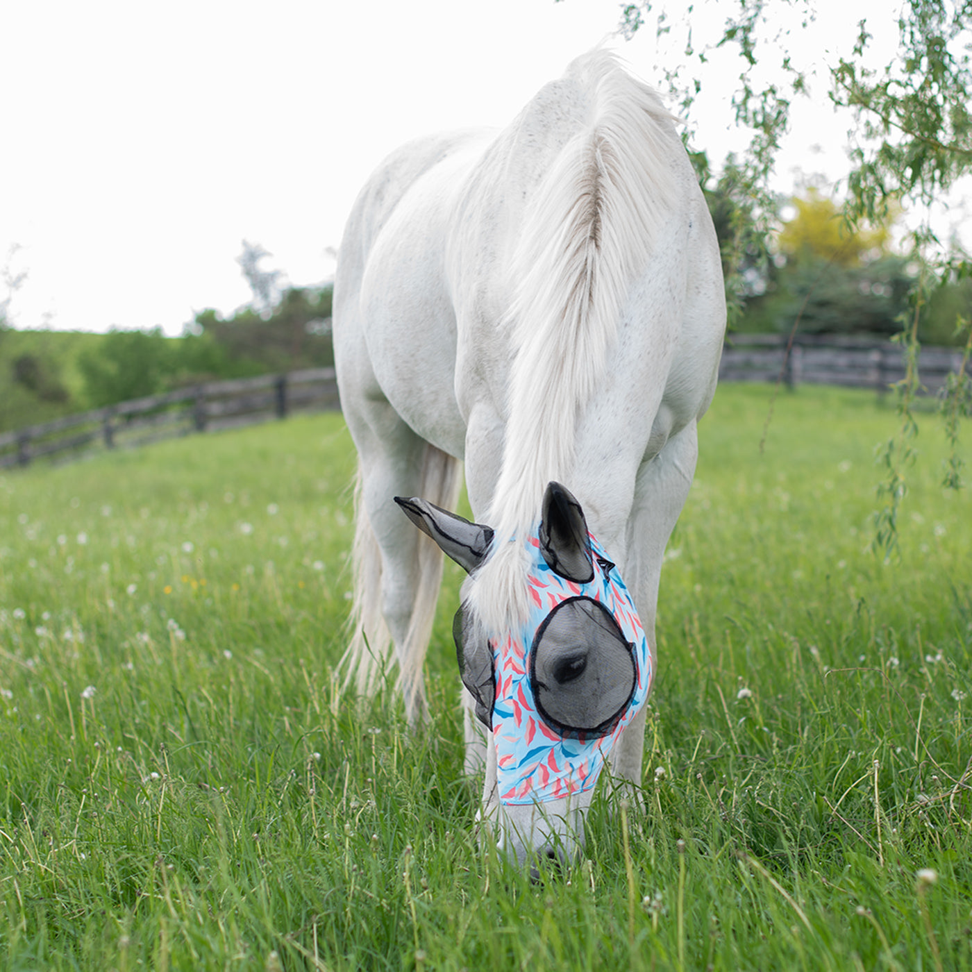 Summit Fly Mask W/ Forelock Hole