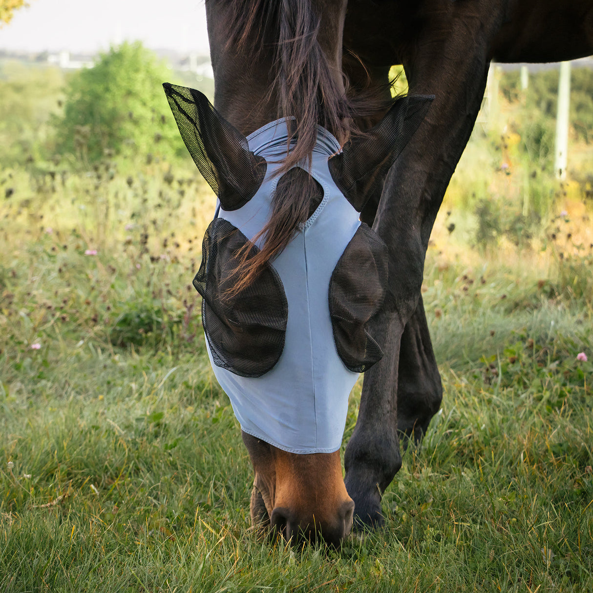 Summit Fly Mask W/ Forelock Hole
