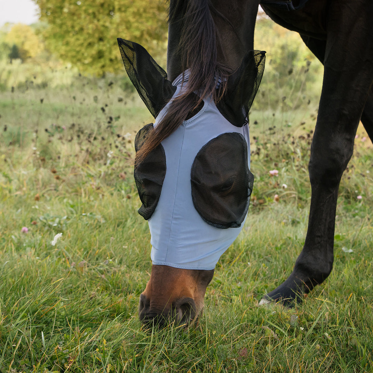 Summit Fly Mask W/ Forelock Hole