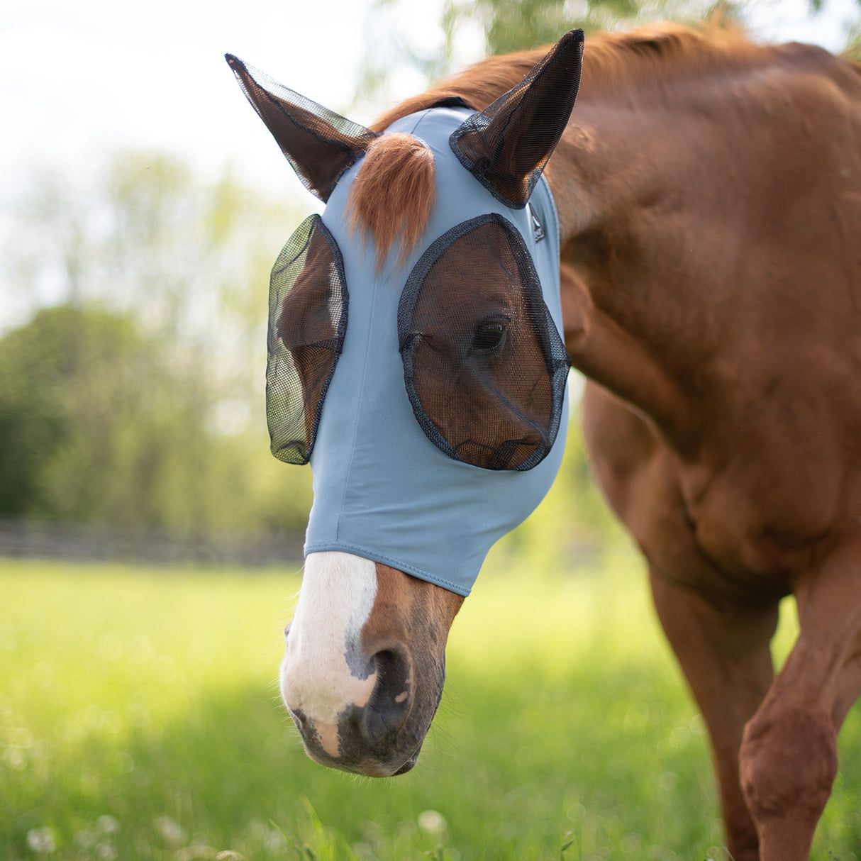 Summit Fly Mask W/ Forelock Hole