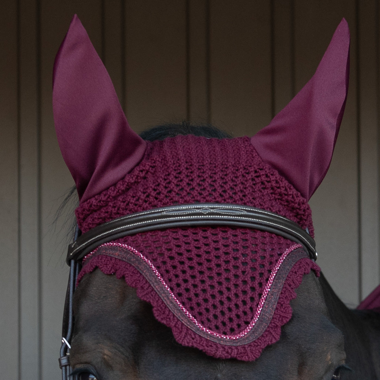 Shedrow Scalloped Fly Veil