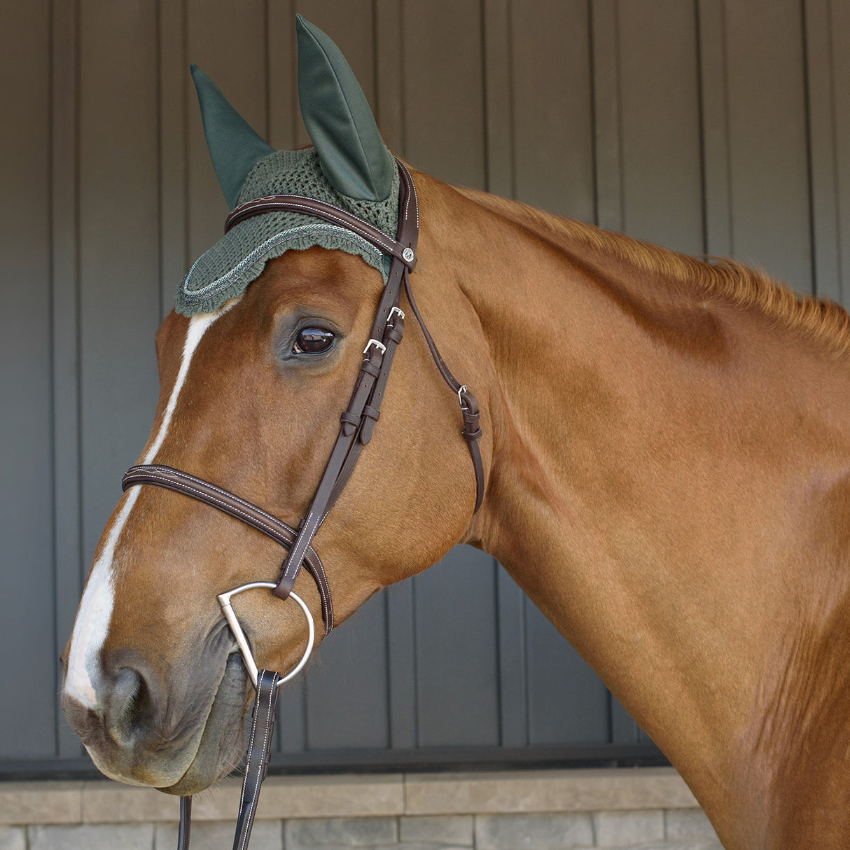 Shedrow Scalloped Fly Veil