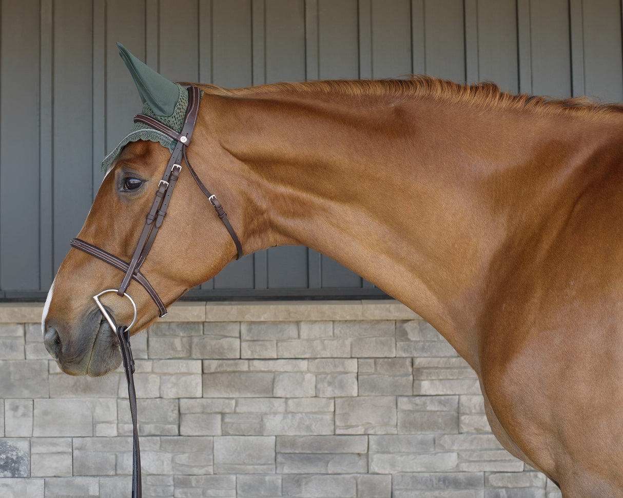 Shedrow Scalloped Fly Veil
