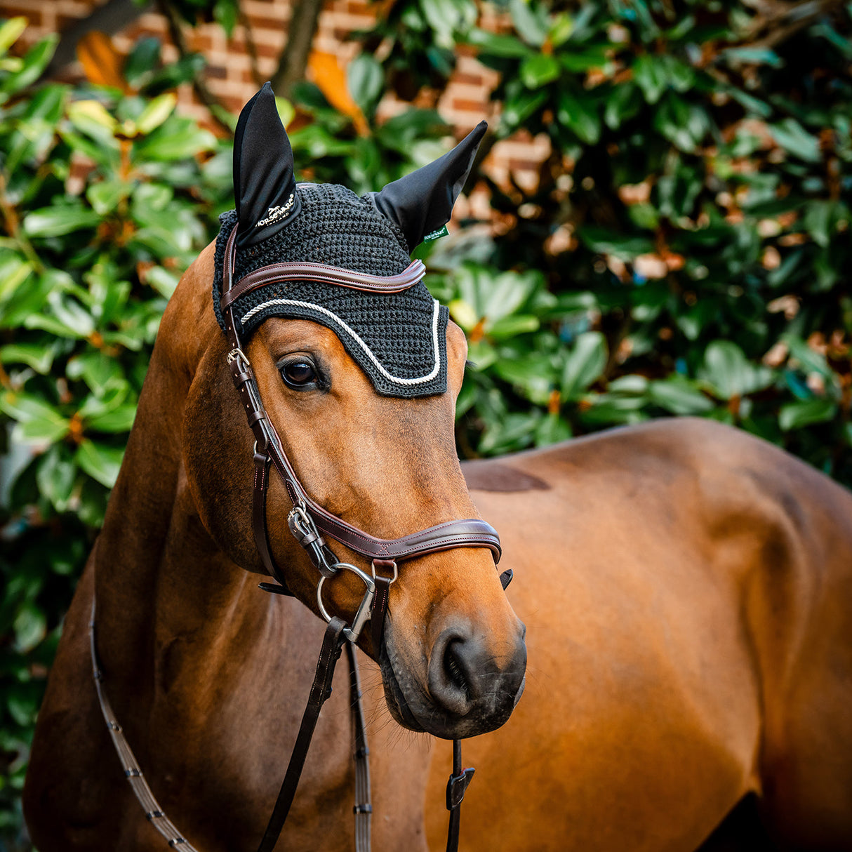Horseware Signature Fly Veil