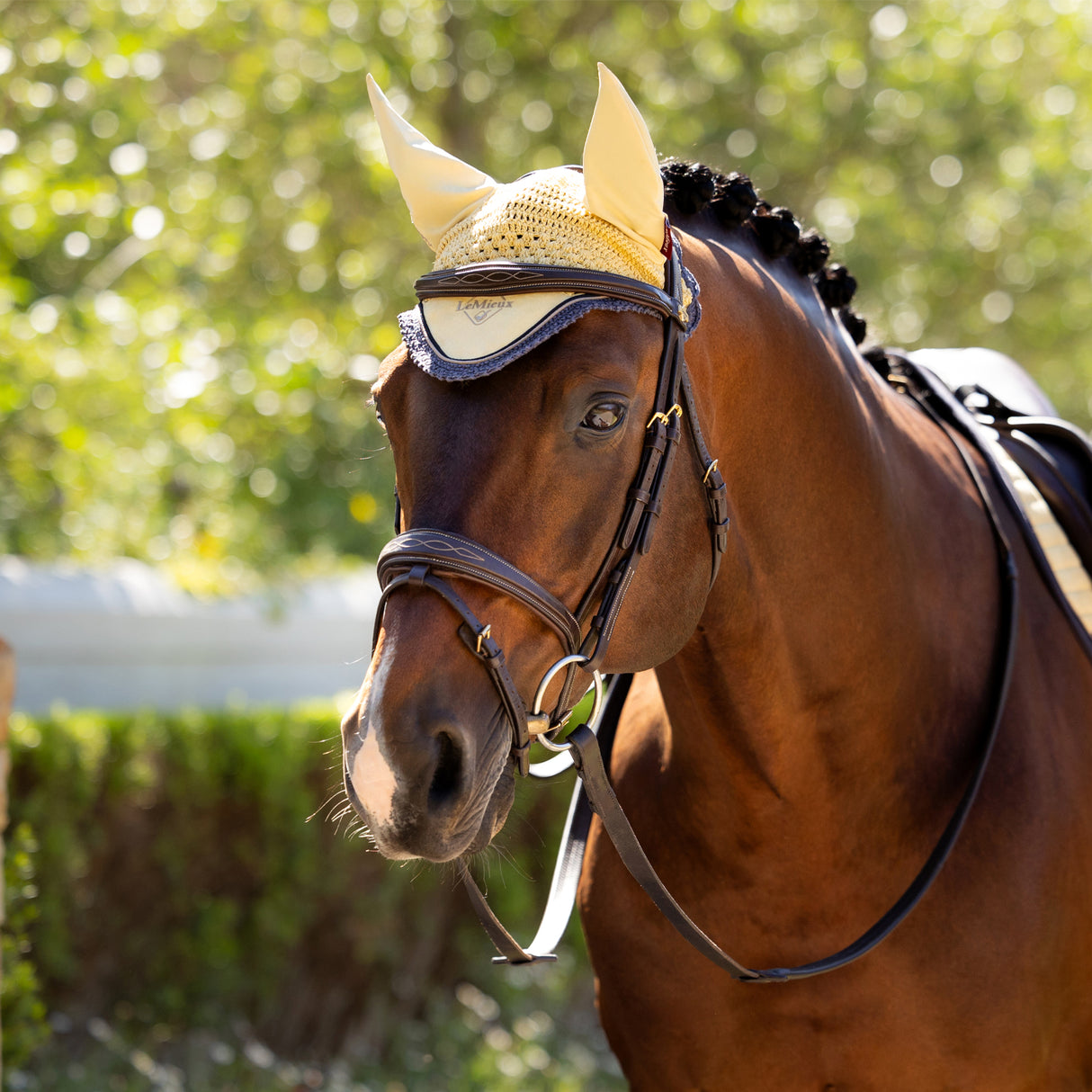 LeMieux Classic Fly Veil