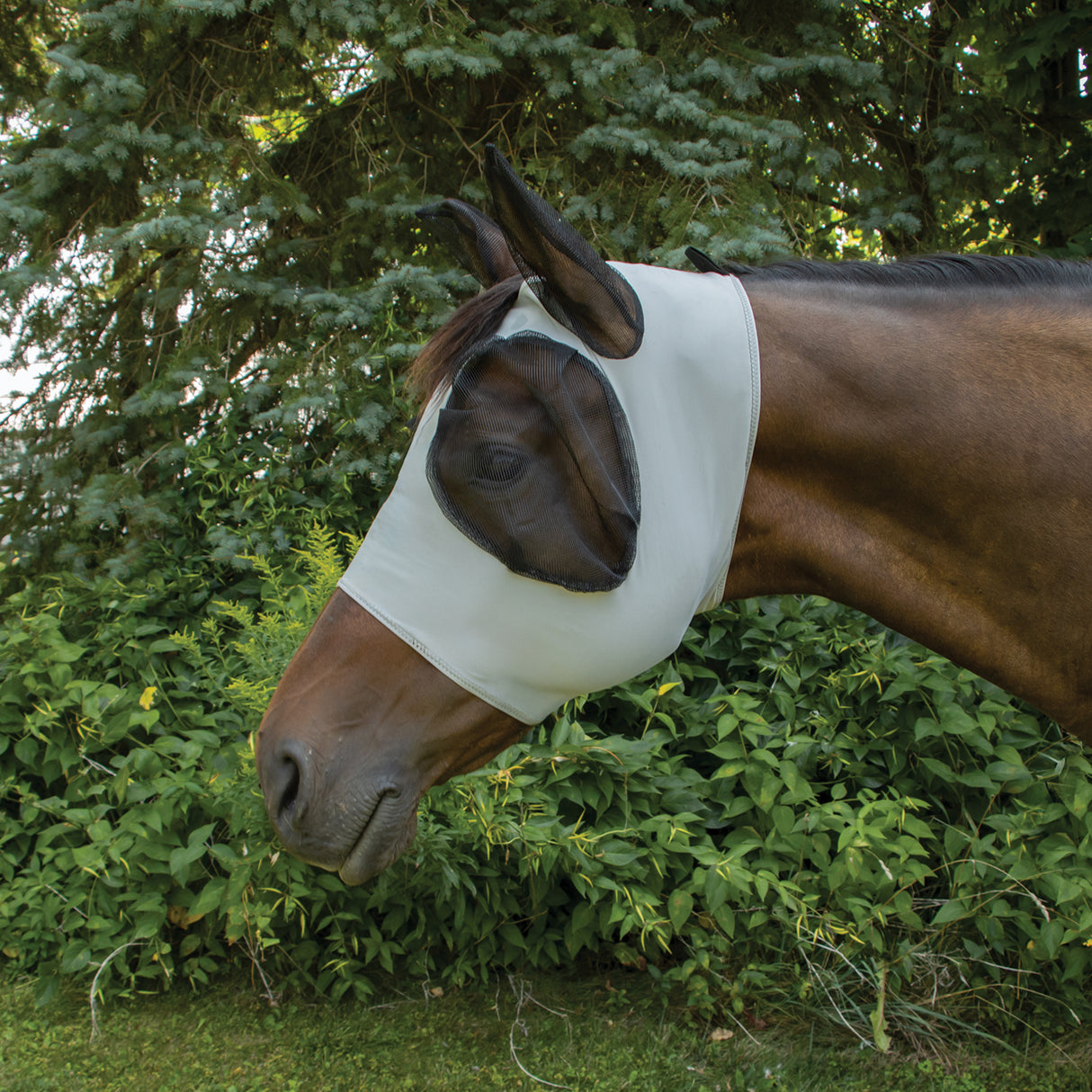Supra Lycra Fly Mask W/ Forelock Hole