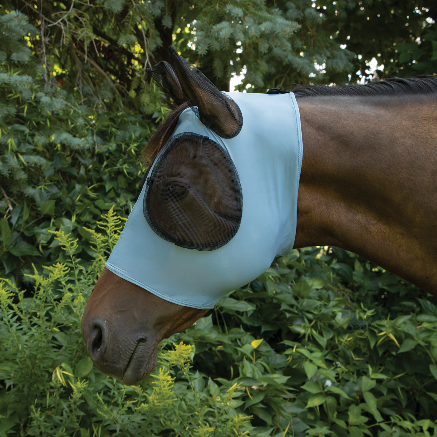 Supra Fly Mask W/ Forelock Hole