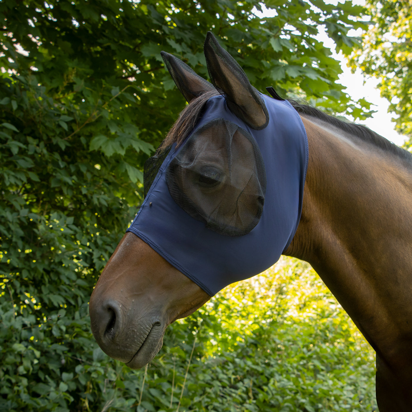 Supra Fly Mask W/ Forelock Hole