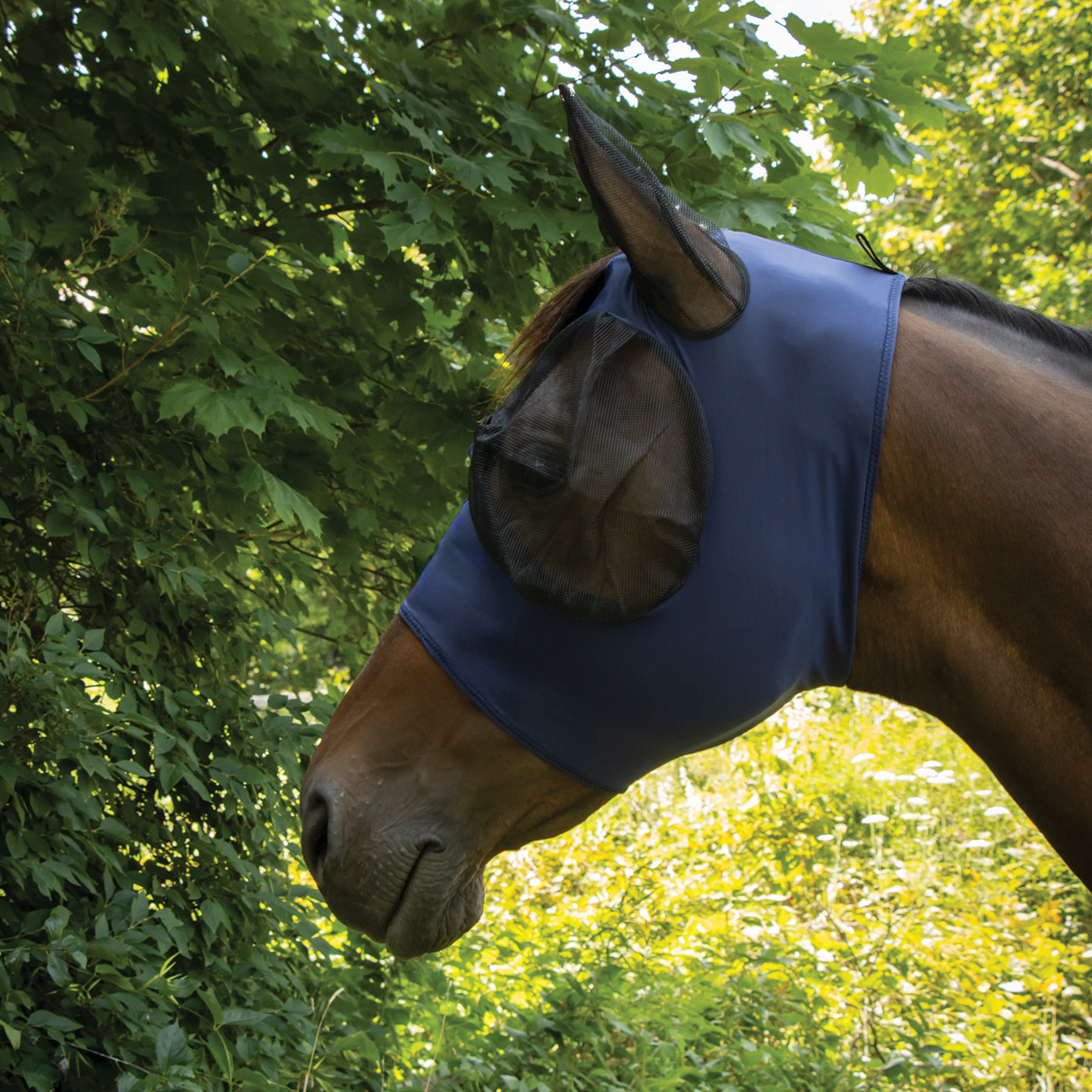 Supra Fly Mask W/ Forelock Hole