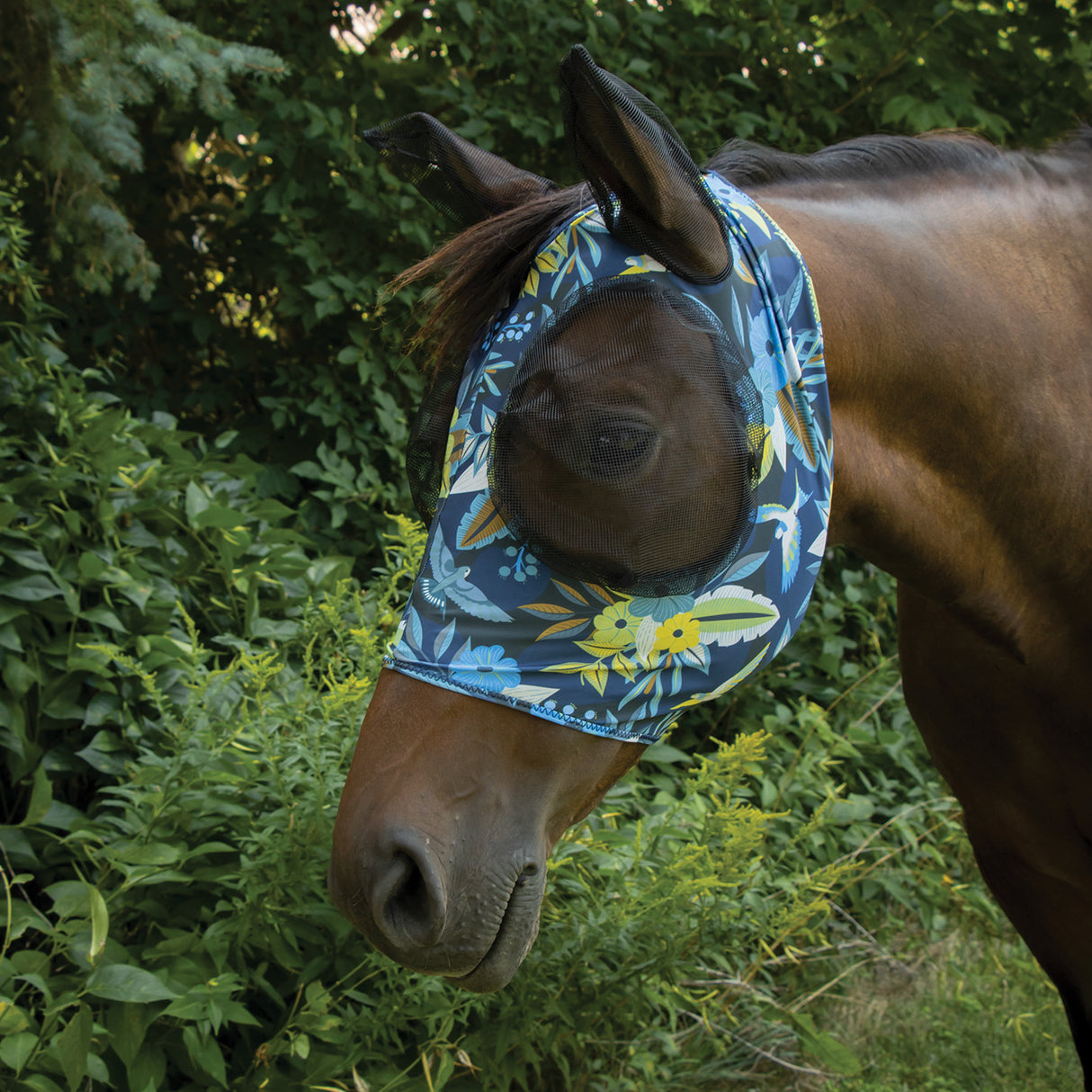 Supra Fly Mask W/ Forelock Hole