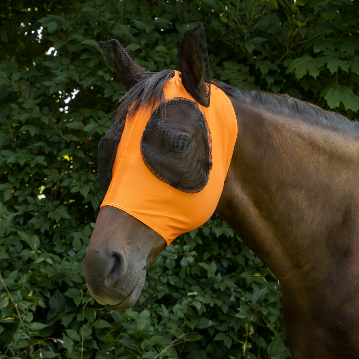 Supra Fly Mask W/ Forelock Hole