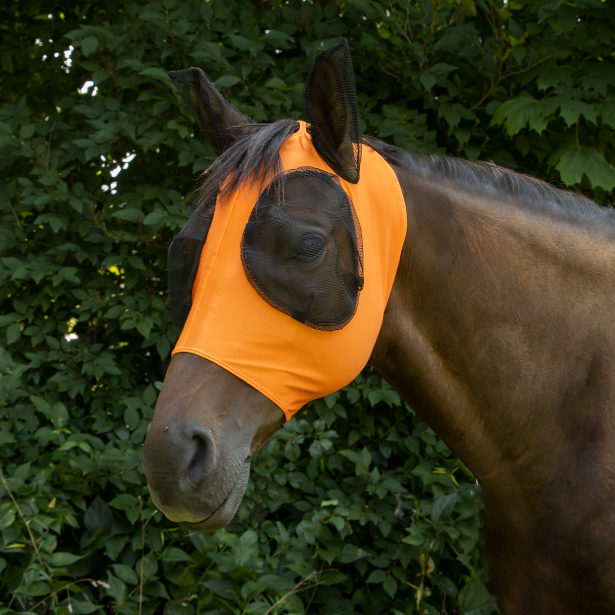 Supra Lycra Fly Mask W/ Forelock Hole
