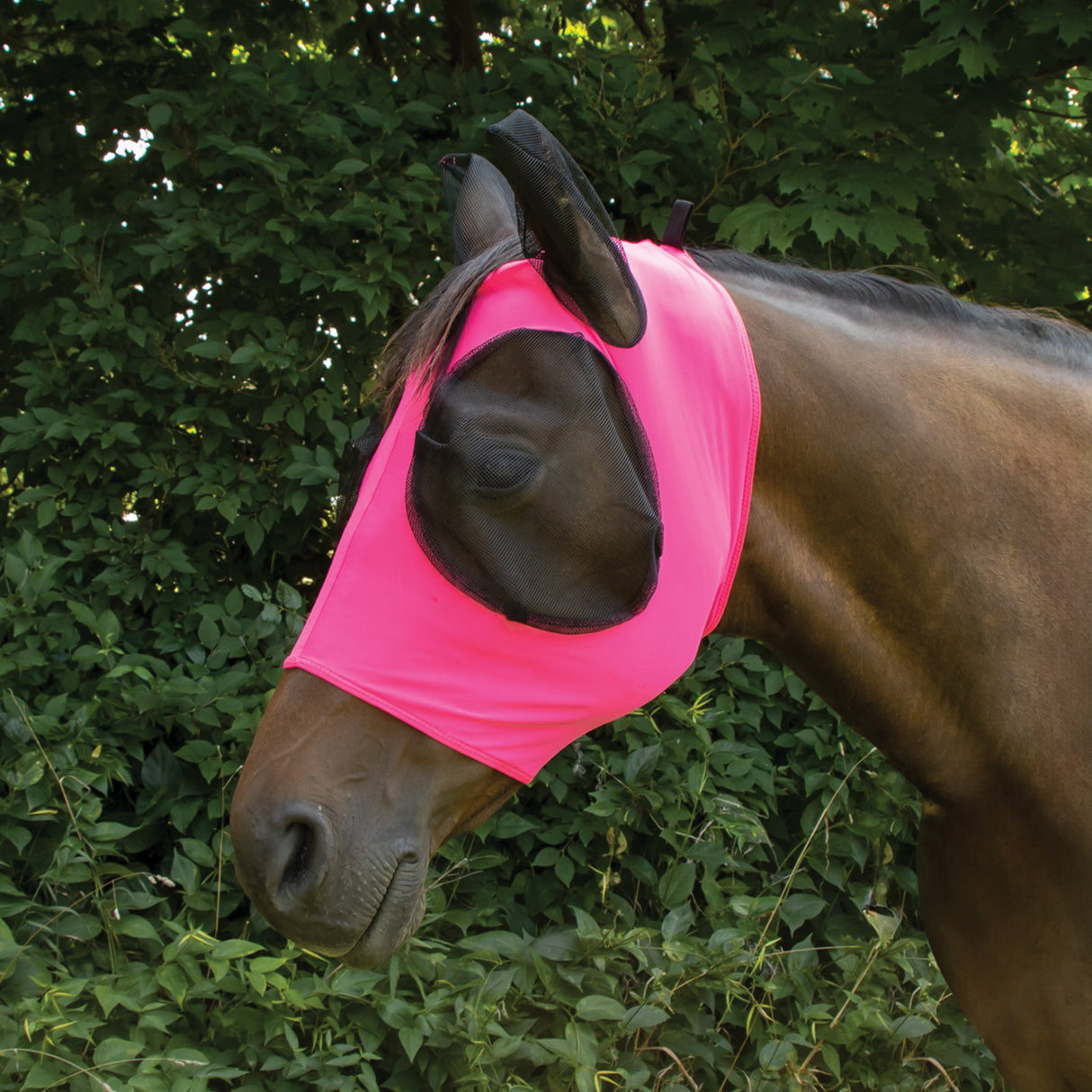 Supra Lycra Fly Mask W/ Forelock Hole