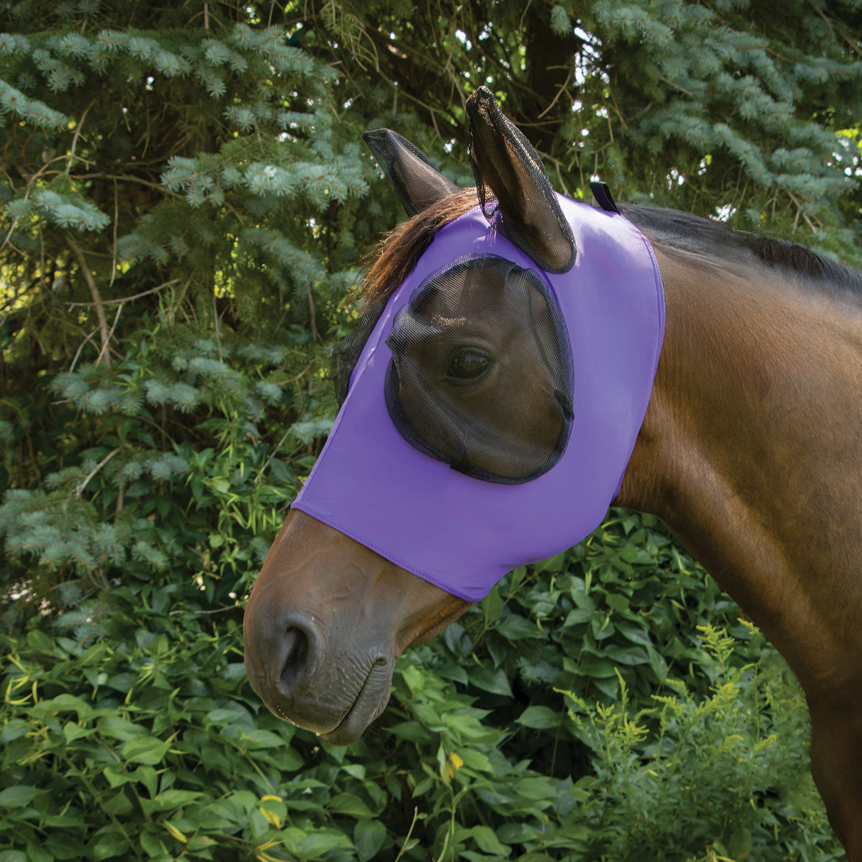 Supra Fly Mask W/ Forelock Hole