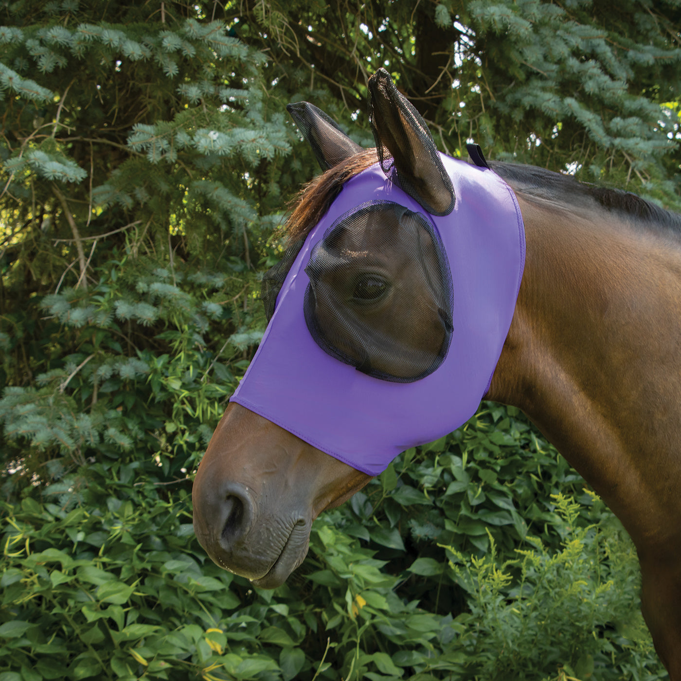 Supra Fly Mask W/ Forelock Hole
