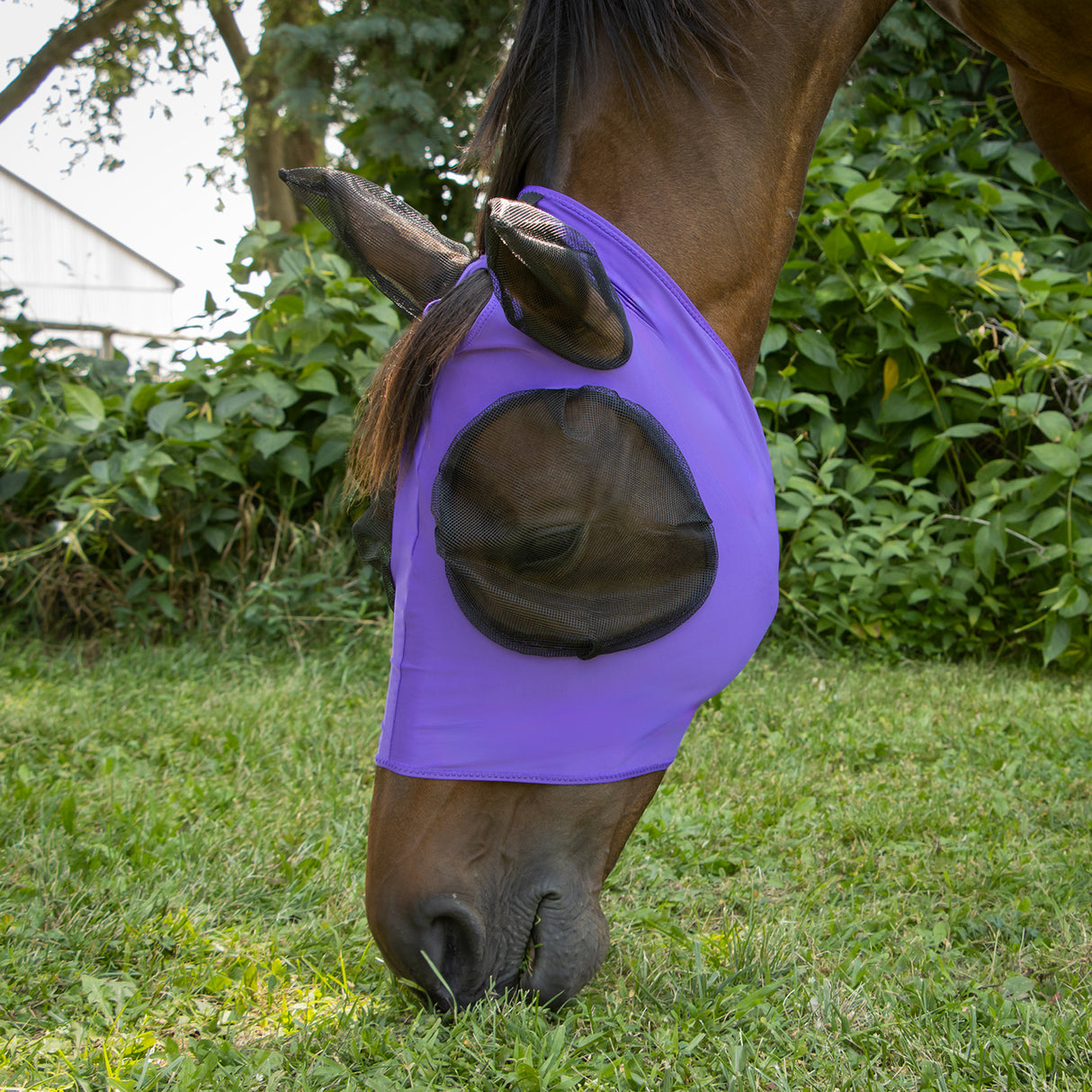 Supra Lycra Fly Mask W/ Forelock Hole