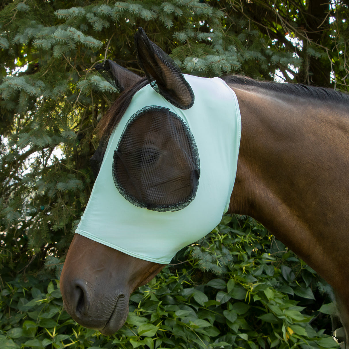 Supra Fly Mask W/ Forelock Hole
