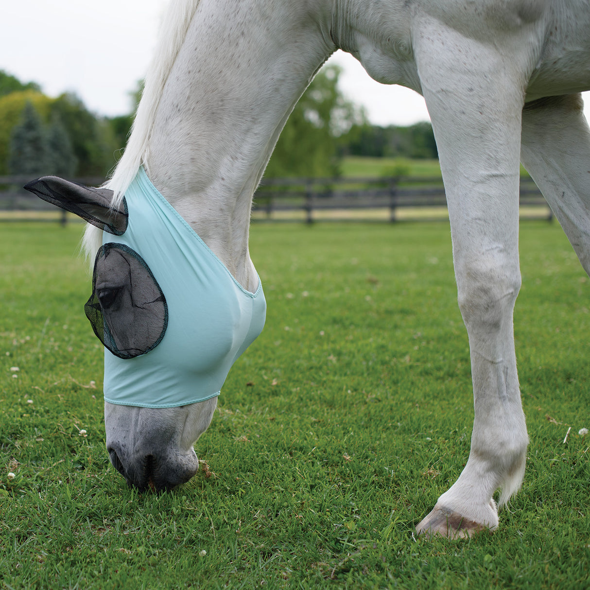 Supra Lycra Fly Mask W/ Forelock Hole