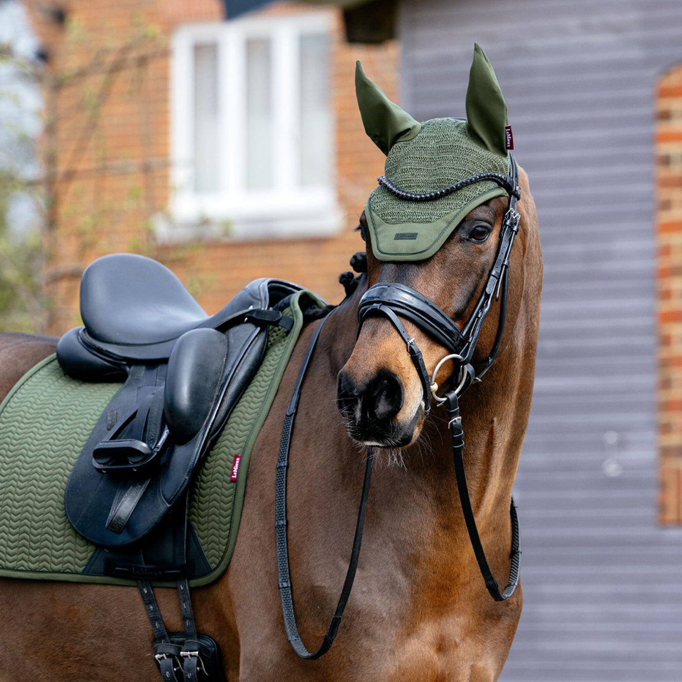 LeMieux Essence Fly Veil