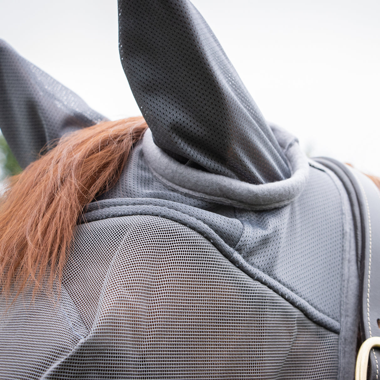 Shedrow Fly Mask W/ Ears & Nose Cover