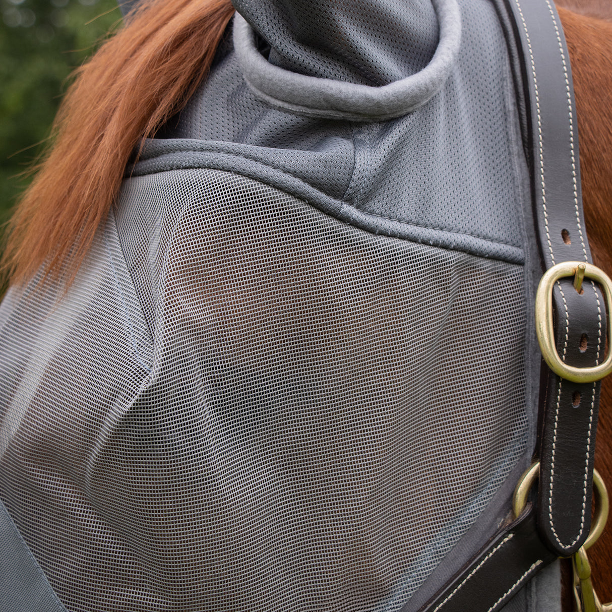 Shedrow Fly Mask W/ Ears & Nose Cover
