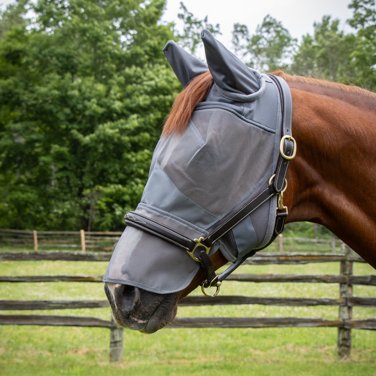 Shedrow Fly Mask W/ Ears & Nose Cover