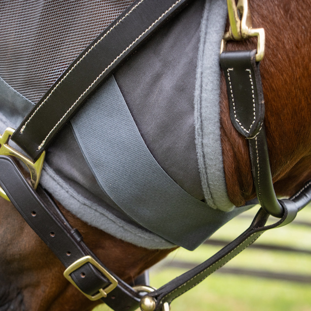 Shedrow Fly Mask