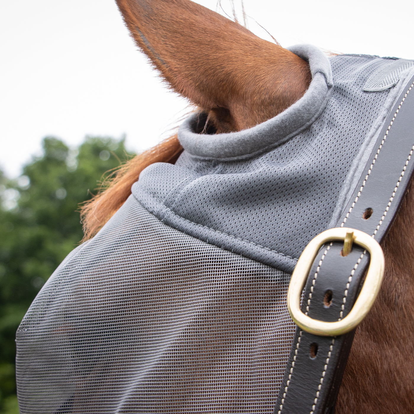 Shedrow Fly Mask