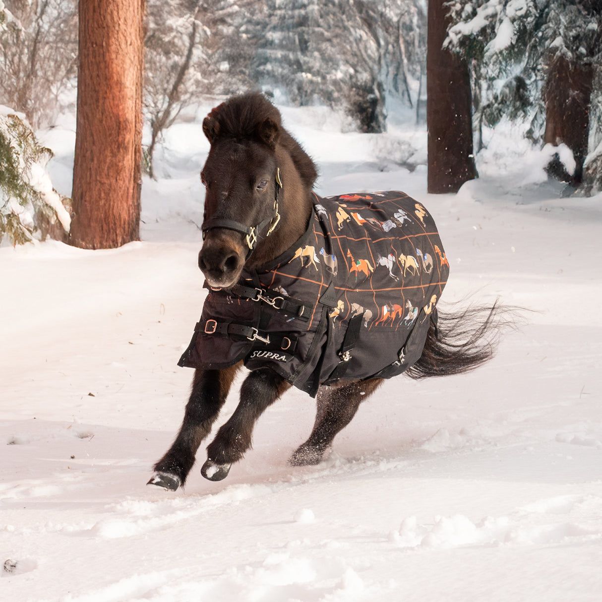 Supra Mini Turnout Blanket 300 g