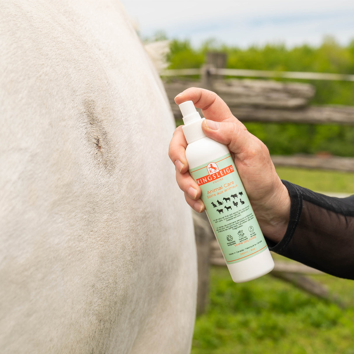 Kingsleigh Equine Animal Care 8.45 oz.