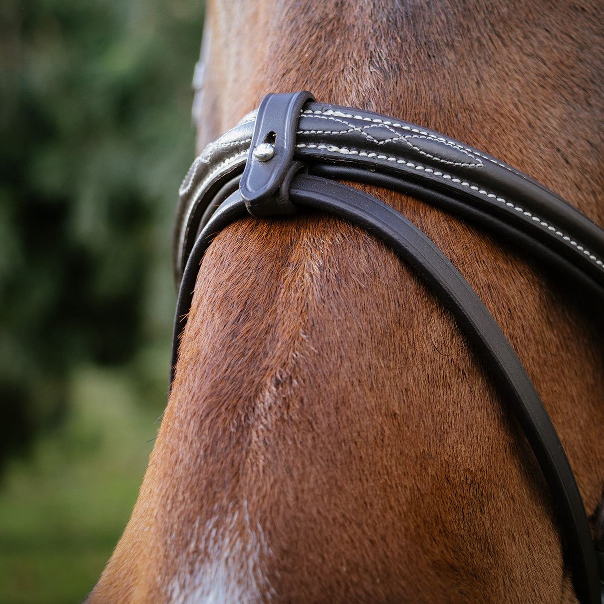 Val du Bois Padded Fancy Stitched Bridle W/ Removable Flash