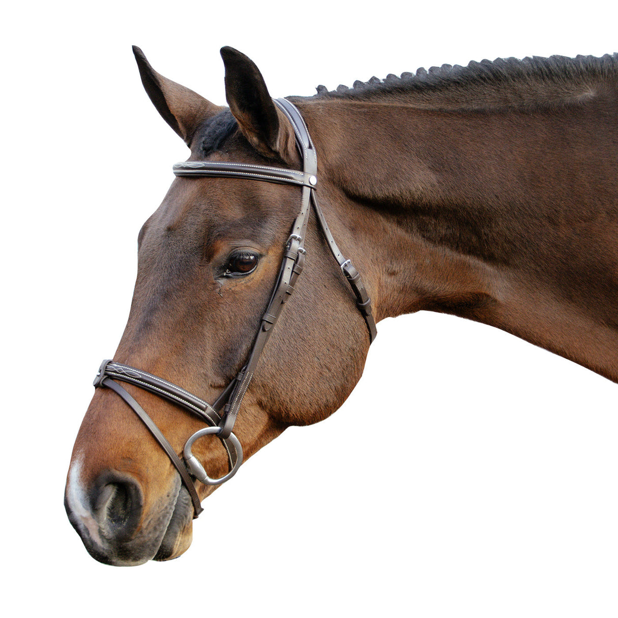Val du Bois Padded Fancy Stitched Bridle W/ Removable Flash