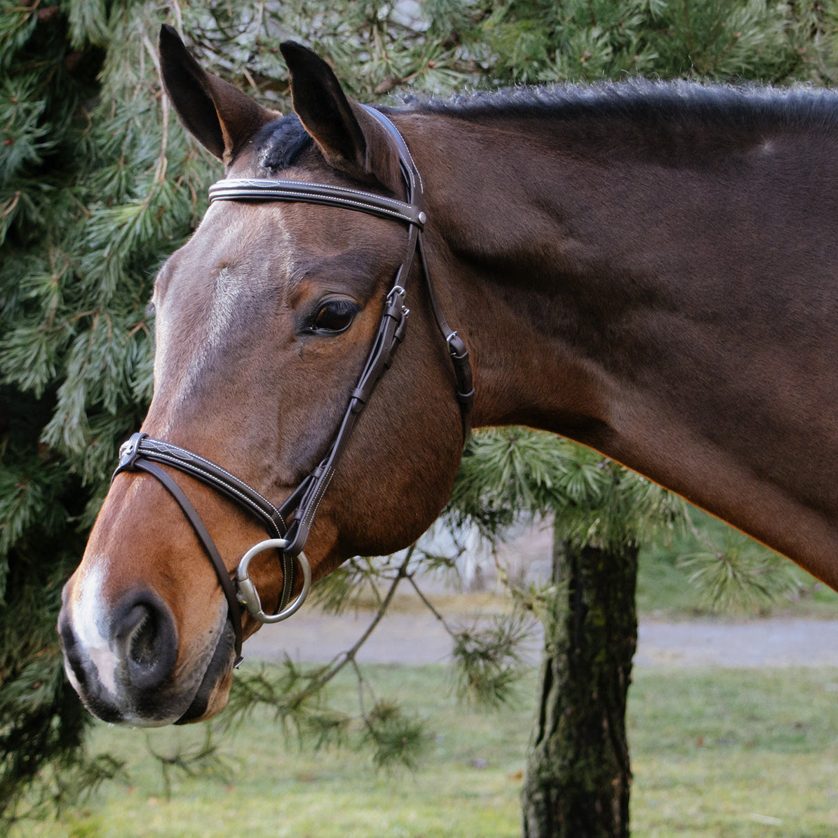 Val du Bois Padded Fancy Stitched Bridle W/ Removable Flash