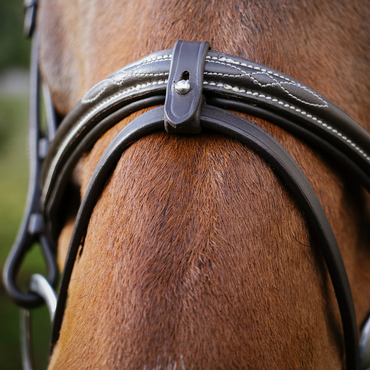 Val du Bois Padded Fancy Stitched Bridle W/ Removable Flash